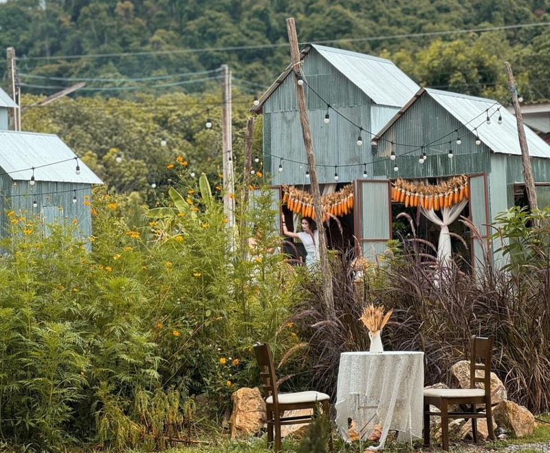 bake and more, bellinee’s rayong, guer cafe, happy camper rayong, happy camper คาเฟ่, mama don’t like espresso bar & bake lab, mhuan fun cafe & art, misahouse, phala craft coffee roasters, seaseoul cafe, she sails cafe & beach club, she sails rayong, the creeper house, triple o coffee, u cup coffee, คาเฟ่ระยอง, คาเฟ่ระยอง 2024, คาเฟ่ระยอง 2567, คาเฟ่ริมทะเล ระยอง, คาเฟ่เปิดใหม่ ระยอง, คาเฟ่ใกลฉัน, ซีโซล คาเฟ่, ปาฎี, มาม่า ดอนท์ ไลท์ คาเฟ่, มิสะเฮ้าท์, ระยอง 2024, ระยอง 2567, ระยอง คาเฟ่, ร้านปาฎี, ร้านเกื้อ, สวนก๋ง, เที่ยวระยอง, เบค แอนด์ มอร์ คาเฟ่, เบลลินี่ ระยอง, เหมือนฝัน คาเฟ่, top 15+ คาเฟ่ระยอง [สิงหาคม 2024] นั่งจิบชากาแฟ ทานเบเกอรี่ ดื่มด่ำธรรมชาติ รับลมริมทะเล