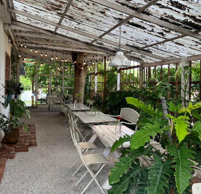 bake and more, bellinee’s rayong, guer cafe, happy camper rayong, happy camper คาเฟ่, mama don’t like espresso bar & bake lab, mhuan fun cafe & art, misahouse, phala craft coffee roasters, seaseoul cafe, she sails cafe & beach club, she sails rayong, the creeper house, triple o coffee, u cup coffee, คาเฟ่ระยอง, คาเฟ่ระยอง 2024, คาเฟ่ระยอง 2567, คาเฟ่ริมทะเล ระยอง, คาเฟ่เปิดใหม่ ระยอง, คาเฟ่ใกลฉัน, ซีโซล คาเฟ่, ปาฎี, มาม่า ดอนท์ ไลท์ คาเฟ่, มิสะเฮ้าท์, ระยอง 2024, ระยอง 2567, ระยอง คาเฟ่, ร้านปาฎี, ร้านเกื้อ, สวนก๋ง, เที่ยวระยอง, เบค แอนด์ มอร์ คาเฟ่, เบลลินี่ ระยอง, เหมือนฝัน คาเฟ่, top 15+ คาเฟ่ระยอง [สิงหาคม 2024] นั่งจิบชากาแฟ ทานเบเกอรี่ ดื่มด่ำธรรมชาติ รับลมริมทะเล