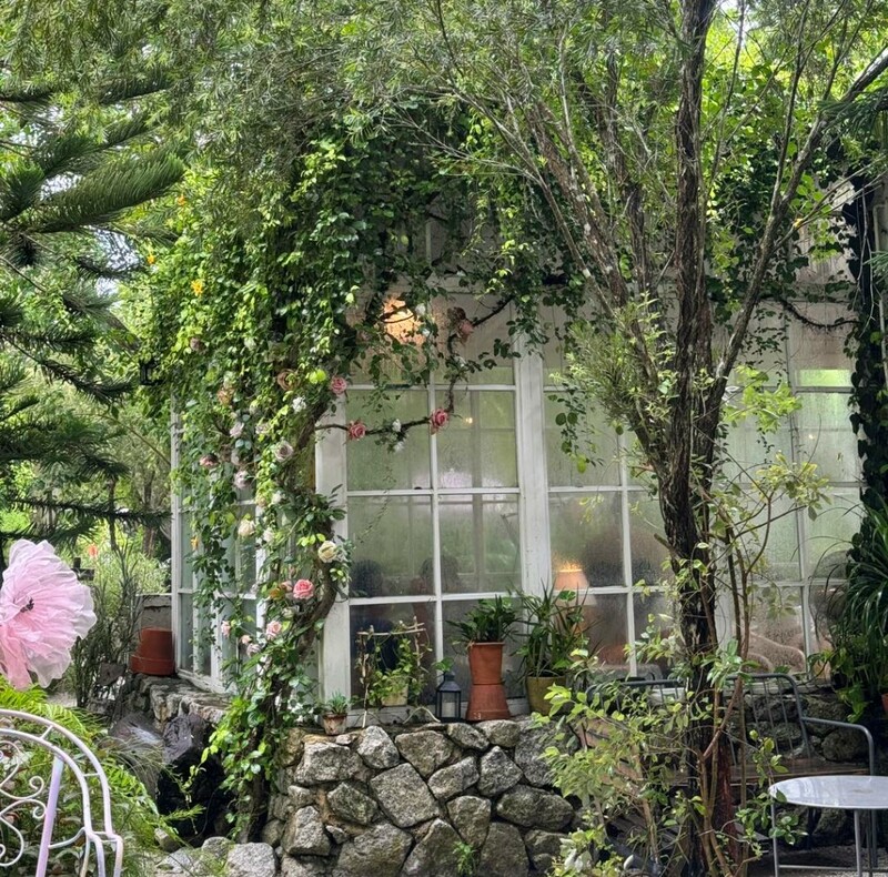 bake and more, bellinee’s rayong, guer cafe, happy camper rayong, happy camper คาเฟ่, mama don’t like espresso bar & bake lab, mhuan fun cafe & art, misahouse, phala craft coffee roasters, seaseoul cafe, she sails cafe & beach club, she sails rayong, the creeper house, triple o coffee, u cup coffee, คาเฟ่ระยอง, คาเฟ่ระยอง 2024, คาเฟ่ระยอง 2567, คาเฟ่ริมทะเล ระยอง, คาเฟ่เปิดใหม่ ระยอง, คาเฟ่ใกลฉัน, ซีโซล คาเฟ่, ปาฎี, มาม่า ดอนท์ ไลท์ คาเฟ่, มิสะเฮ้าท์, ระยอง 2024, ระยอง 2567, ระยอง คาเฟ่, ร้านปาฎี, ร้านเกื้อ, สวนก๋ง, เที่ยวระยอง, เบค แอนด์ มอร์ คาเฟ่, เบลลินี่ ระยอง, เหมือนฝัน คาเฟ่, top 15+ คาเฟ่ระยอง [สิงหาคม 2024] นั่งจิบชากาแฟ ทานเบเกอรี่ ดื่มด่ำธรรมชาติ รับลมริมทะเล