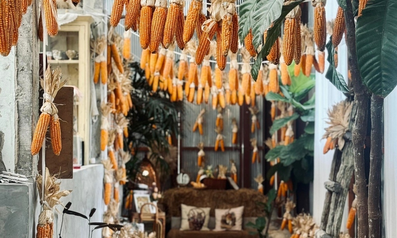 bake and more, bellinee’s rayong, guer cafe, happy camper rayong, happy camper คาเฟ่, mama don’t like espresso bar & bake lab, mhuan fun cafe & art, misahouse, phala craft coffee roasters, seaseoul cafe, she sails cafe & beach club, she sails rayong, the creeper house, triple o coffee, u cup coffee, คาเฟ่ระยอง, คาเฟ่ระยอง 2024, คาเฟ่ระยอง 2567, คาเฟ่ริมทะเล ระยอง, คาเฟ่เปิดใหม่ ระยอง, คาเฟ่ใกลฉัน, ซีโซล คาเฟ่, ปาฎี, มาม่า ดอนท์ ไลท์ คาเฟ่, มิสะเฮ้าท์, ระยอง 2024, ระยอง 2567, ระยอง คาเฟ่, ร้านปาฎี, ร้านเกื้อ, สวนก๋ง, เที่ยวระยอง, เบค แอนด์ มอร์ คาเฟ่, เบลลินี่ ระยอง, เหมือนฝัน คาเฟ่, top 15+ คาเฟ่ระยอง [สิงหาคม 2024] นั่งจิบชากาแฟ ทานเบเกอรี่ ดื่มด่ำธรรมชาติ รับลมริมทะเล