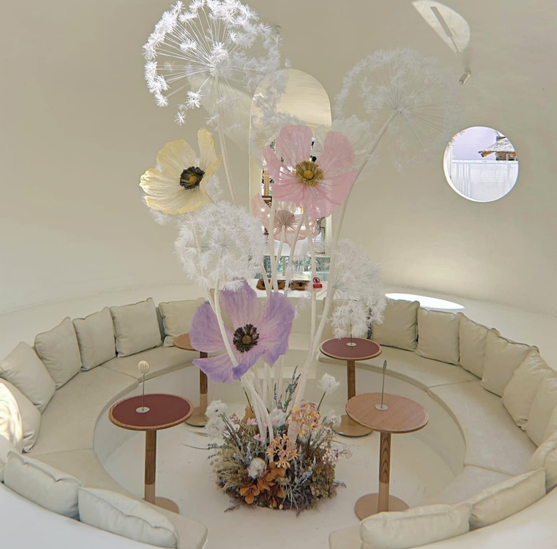 bake and more, bellinee’s rayong, guer cafe, happy camper rayong, happy camper คาเฟ่, mama don’t like espresso bar & bake lab, mhuan fun cafe & art, misahouse, phala craft coffee roasters, seaseoul cafe, she sails cafe & beach club, she sails rayong, the creeper house, triple o coffee, u cup coffee, คาเฟ่ระยอง, คาเฟ่ระยอง 2024, คาเฟ่ระยอง 2567, คาเฟ่ริมทะเล ระยอง, คาเฟ่เปิดใหม่ ระยอง, คาเฟ่ใกลฉัน, ซีโซล คาเฟ่, ปาฎี, มาม่า ดอนท์ ไลท์ คาเฟ่, มิสะเฮ้าท์, ระยอง 2024, ระยอง 2567, ระยอง คาเฟ่, ร้านปาฎี, ร้านเกื้อ, สวนก๋ง, เที่ยวระยอง, เบค แอนด์ มอร์ คาเฟ่, เบลลินี่ ระยอง, เหมือนฝัน คาเฟ่, top 15+ คาเฟ่ระยอง [สิงหาคม 2024] นั่งจิบชากาแฟ ทานเบเกอรี่ ดื่มด่ำธรรมชาติ รับลมริมทะเล