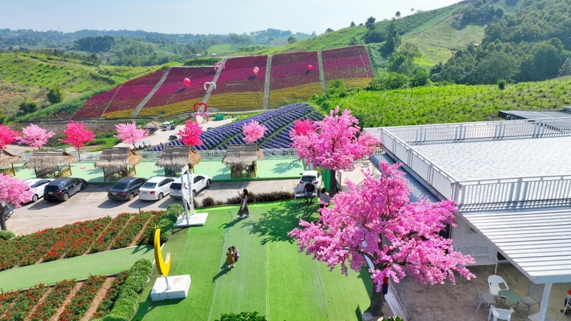 amazing dinosaur, amazing dinosaur เขาค้อ, gino cafe, hydrangea cafe, pino latte, pizza house cafe), the dreamer cafe, the dreamer cafe & resort, จุดชมวิวทะเลหมอก อำเภอเขาค้อ, จุดชมวิววัดกองเนียม, จุดชมวิวอำเภอเขาค้อ, ที่เที่ยวเขาค้อ, ที่เที่ยวเขาค้อ 2024, ที่เที่ยวเขาค้อ 2567, ที่เที่ยวเพชรบูรณ์, ทุ่งแสลงหลวง, น้ำตกศรีดิษฐ์, บ้านเขา คาเฟ่, พระตำหนัก เขาค้อ, พระบรมธาตุเจดีย์กาญจนาภิเษก, พิพิธภัณฑ์อาวุธ, ฟาร์มแกะ เขาค้อ, ม่อนซ่อนแก้ว ฟาร์มสเตย์แอนด์คาเฟ่, ม่อนแกะ เขาค้อ, วัดป่าคาสามัคคี, วัดผาซ่อนแก้ว, วัดพระธาตุผาซ่อนแก้ว, สกายวอล์คภูเลิศ, สกายวอล์คภูเลิศเขาค้อ, องค์ปู่ท้าวเวชสุวรรณลอยฟ้า, อนุสรณ์สถานผู้เสียสละ เขาค้อ, อุทยานแห่งชาติทุ่งแสลงหลวง, เขาค้อ, เขาค้อ 2024, เขาค้อ 2567, เขาตะเคียนโง๊ะ, แก่งบางระจัน, ไร่ gb ทุ่งกังหันลม, ไร่gb เขาค้อ, ไฮเดรนเยีย คาเฟ่, top 20+ ที่เที่ยวเขาค้อ [สิงหาคม 2024] ที่ต้องแวะเช็คอิน ฟินไปกับทะเลหมอก ชมธรรมชาติส้วยสวย