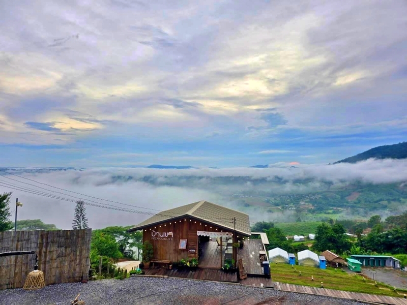 amazing dinosaur, amazing dinosaur เขาค้อ, gino cafe, hydrangea cafe, pino latte, pizza house cafe), the dreamer cafe, the dreamer cafe & resort, จุดชมวิวทะเลหมอก อำเภอเขาค้อ, จุดชมวิววัดกองเนียม, จุดชมวิวอำเภอเขาค้อ, ที่เที่ยวเขาค้อ, ที่เที่ยวเขาค้อ 2024, ที่เที่ยวเขาค้อ 2567, ที่เที่ยวเพชรบูรณ์, ทุ่งแสลงหลวง, น้ำตกศรีดิษฐ์, บ้านเขา คาเฟ่, พระตำหนัก เขาค้อ, พระบรมธาตุเจดีย์กาญจนาภิเษก, พิพิธภัณฑ์อาวุธ, ฟาร์มแกะ เขาค้อ, ม่อนซ่อนแก้ว ฟาร์มสเตย์แอนด์คาเฟ่, ม่อนแกะ เขาค้อ, วัดป่าคาสามัคคี, วัดผาซ่อนแก้ว, วัดพระธาตุผาซ่อนแก้ว, สกายวอล์คภูเลิศ, สกายวอล์คภูเลิศเขาค้อ, องค์ปู่ท้าวเวชสุวรรณลอยฟ้า, อนุสรณ์สถานผู้เสียสละ เขาค้อ, อุทยานแห่งชาติทุ่งแสลงหลวง, เขาค้อ, เขาค้อ 2024, เขาค้อ 2567, เขาตะเคียนโง๊ะ, แก่งบางระจัน, ไร่ gb ทุ่งกังหันลม, ไร่gb เขาค้อ, ไฮเดรนเยีย คาเฟ่, top 20+ ที่เที่ยวเขาค้อ [สิงหาคม 2024] ที่ต้องแวะเช็คอิน ฟินไปกับทะเลหมอก ชมธรรมชาติส้วยสวย