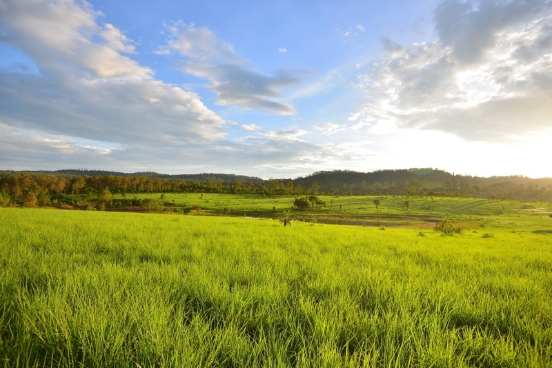 amazing dinosaur, amazing dinosaur เขาค้อ, gino cafe, hydrangea cafe, pino latte, pizza house cafe), the dreamer cafe, the dreamer cafe & resort, จุดชมวิวทะเลหมอก อำเภอเขาค้อ, จุดชมวิววัดกองเนียม, จุดชมวิวอำเภอเขาค้อ, ที่เที่ยวเขาค้อ, ที่เที่ยวเขาค้อ 2024, ที่เที่ยวเขาค้อ 2567, ที่เที่ยวเพชรบูรณ์, ทุ่งแสลงหลวง, น้ำตกศรีดิษฐ์, บ้านเขา คาเฟ่, พระตำหนัก เขาค้อ, พระบรมธาตุเจดีย์กาญจนาภิเษก, พิพิธภัณฑ์อาวุธ, ฟาร์มแกะ เขาค้อ, ม่อนซ่อนแก้ว ฟาร์มสเตย์แอนด์คาเฟ่, ม่อนแกะ เขาค้อ, วัดป่าคาสามัคคี, วัดผาซ่อนแก้ว, วัดพระธาตุผาซ่อนแก้ว, สกายวอล์คภูเลิศ, สกายวอล์คภูเลิศเขาค้อ, องค์ปู่ท้าวเวชสุวรรณลอยฟ้า, อนุสรณ์สถานผู้เสียสละ เขาค้อ, อุทยานแห่งชาติทุ่งแสลงหลวง, เขาค้อ, เขาค้อ 2024, เขาค้อ 2567, เขาตะเคียนโง๊ะ, แก่งบางระจัน, ไร่ gb ทุ่งกังหันลม, ไร่gb เขาค้อ, ไฮเดรนเยีย คาเฟ่, top 20+ ที่เที่ยวเขาค้อ [สิงหาคม 2024] ที่ต้องแวะเช็คอิน ฟินไปกับทะเลหมอก ชมธรรมชาติส้วยสวย