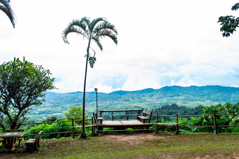 amazing dinosaur, amazing dinosaur เขาค้อ, gino cafe, hydrangea cafe, pino latte, pizza house cafe), the dreamer cafe, the dreamer cafe & resort, จุดชมวิวทะเลหมอก อำเภอเขาค้อ, จุดชมวิววัดกองเนียม, จุดชมวิวอำเภอเขาค้อ, ที่เที่ยวเขาค้อ, ที่เที่ยวเขาค้อ 2024, ที่เที่ยวเขาค้อ 2567, ที่เที่ยวเพชรบูรณ์, ทุ่งแสลงหลวง, น้ำตกศรีดิษฐ์, บ้านเขา คาเฟ่, พระตำหนัก เขาค้อ, พระบรมธาตุเจดีย์กาญจนาภิเษก, พิพิธภัณฑ์อาวุธ, ฟาร์มแกะ เขาค้อ, ม่อนซ่อนแก้ว ฟาร์มสเตย์แอนด์คาเฟ่, ม่อนแกะ เขาค้อ, วัดป่าคาสามัคคี, วัดผาซ่อนแก้ว, วัดพระธาตุผาซ่อนแก้ว, สกายวอล์คภูเลิศ, สกายวอล์คภูเลิศเขาค้อ, องค์ปู่ท้าวเวชสุวรรณลอยฟ้า, อนุสรณ์สถานผู้เสียสละ เขาค้อ, อุทยานแห่งชาติทุ่งแสลงหลวง, เขาค้อ, เขาค้อ 2024, เขาค้อ 2567, เขาตะเคียนโง๊ะ, แก่งบางระจัน, ไร่ gb ทุ่งกังหันลม, ไร่gb เขาค้อ, ไฮเดรนเยีย คาเฟ่, top 20+ ที่เที่ยวเขาค้อ [สิงหาคม 2024] ที่ต้องแวะเช็คอิน ฟินไปกับทะเลหมอก ชมธรรมชาติส้วยสวย