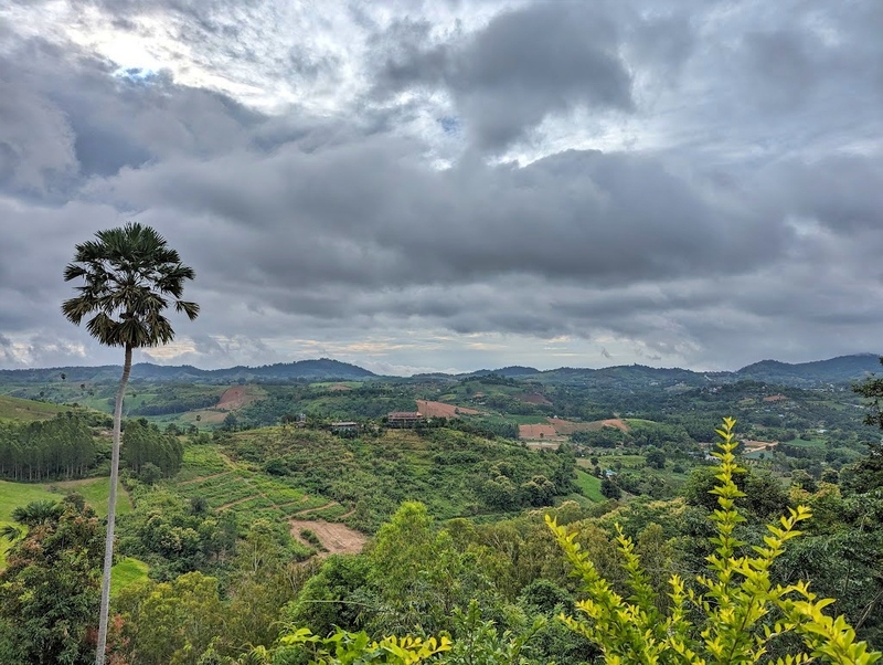 amazing dinosaur, amazing dinosaur เขาค้อ, gino cafe, hydrangea cafe, pino latte, pizza house cafe), the dreamer cafe, the dreamer cafe & resort, จุดชมวิวทะเลหมอก อำเภอเขาค้อ, จุดชมวิววัดกองเนียม, จุดชมวิวอำเภอเขาค้อ, ที่เที่ยวเขาค้อ, ที่เที่ยวเขาค้อ 2024, ที่เที่ยวเขาค้อ 2567, ที่เที่ยวเพชรบูรณ์, ทุ่งแสลงหลวง, น้ำตกศรีดิษฐ์, บ้านเขา คาเฟ่, พระตำหนัก เขาค้อ, พระบรมธาตุเจดีย์กาญจนาภิเษก, พิพิธภัณฑ์อาวุธ, ฟาร์มแกะ เขาค้อ, ม่อนซ่อนแก้ว ฟาร์มสเตย์แอนด์คาเฟ่, ม่อนแกะ เขาค้อ, วัดป่าคาสามัคคี, วัดผาซ่อนแก้ว, วัดพระธาตุผาซ่อนแก้ว, สกายวอล์คภูเลิศ, สกายวอล์คภูเลิศเขาค้อ, องค์ปู่ท้าวเวชสุวรรณลอยฟ้า, อนุสรณ์สถานผู้เสียสละ เขาค้อ, อุทยานแห่งชาติทุ่งแสลงหลวง, เขาค้อ, เขาค้อ 2024, เขาค้อ 2567, เขาตะเคียนโง๊ะ, แก่งบางระจัน, ไร่ gb ทุ่งกังหันลม, ไร่gb เขาค้อ, ไฮเดรนเยีย คาเฟ่, top 20+ ที่เที่ยวเขาค้อ [สิงหาคม 2024] ที่ต้องแวะเช็คอิน ฟินไปกับทะเลหมอก ชมธรรมชาติส้วยสวย