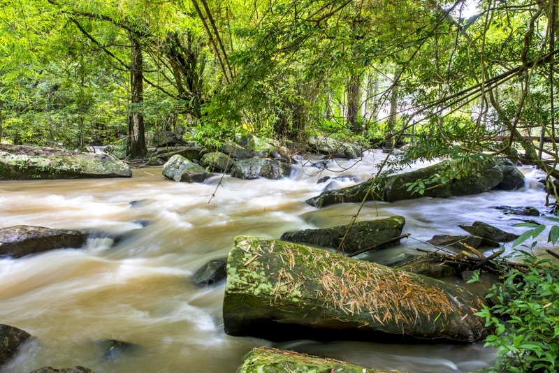 amazing dinosaur, amazing dinosaur เขาค้อ, gino cafe, hydrangea cafe, pino latte, pizza house cafe), the dreamer cafe, the dreamer cafe & resort, จุดชมวิวทะเลหมอก อำเภอเขาค้อ, จุดชมวิววัดกองเนียม, จุดชมวิวอำเภอเขาค้อ, ที่เที่ยวเขาค้อ, ที่เที่ยวเขาค้อ 2024, ที่เที่ยวเขาค้อ 2567, ที่เที่ยวเพชรบูรณ์, ทุ่งแสลงหลวง, น้ำตกศรีดิษฐ์, บ้านเขา คาเฟ่, พระตำหนัก เขาค้อ, พระบรมธาตุเจดีย์กาญจนาภิเษก, พิพิธภัณฑ์อาวุธ, ฟาร์มแกะ เขาค้อ, ม่อนซ่อนแก้ว ฟาร์มสเตย์แอนด์คาเฟ่, ม่อนแกะ เขาค้อ, วัดป่าคาสามัคคี, วัดผาซ่อนแก้ว, วัดพระธาตุผาซ่อนแก้ว, สกายวอล์คภูเลิศ, สกายวอล์คภูเลิศเขาค้อ, องค์ปู่ท้าวเวชสุวรรณลอยฟ้า, อนุสรณ์สถานผู้เสียสละ เขาค้อ, อุทยานแห่งชาติทุ่งแสลงหลวง, เขาค้อ, เขาค้อ 2024, เขาค้อ 2567, เขาตะเคียนโง๊ะ, แก่งบางระจัน, ไร่ gb ทุ่งกังหันลม, ไร่gb เขาค้อ, ไฮเดรนเยีย คาเฟ่, top 20+ ที่เที่ยวเขาค้อ [สิงหาคม 2024] ที่ต้องแวะเช็คอิน ฟินไปกับทะเลหมอก ชมธรรมชาติส้วยสวย
