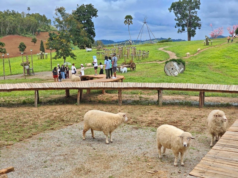 amazing dinosaur, amazing dinosaur เขาค้อ, gino cafe, hydrangea cafe, pino latte, pizza house cafe), the dreamer cafe, the dreamer cafe & resort, จุดชมวิวทะเลหมอก อำเภอเขาค้อ, จุดชมวิววัดกองเนียม, จุดชมวิวอำเภอเขาค้อ, ที่เที่ยวเขาค้อ, ที่เที่ยวเขาค้อ 2024, ที่เที่ยวเขาค้อ 2567, ที่เที่ยวเพชรบูรณ์, ทุ่งแสลงหลวง, น้ำตกศรีดิษฐ์, บ้านเขา คาเฟ่, พระตำหนัก เขาค้อ, พระบรมธาตุเจดีย์กาญจนาภิเษก, พิพิธภัณฑ์อาวุธ, ฟาร์มแกะ เขาค้อ, ม่อนซ่อนแก้ว ฟาร์มสเตย์แอนด์คาเฟ่, ม่อนแกะ เขาค้อ, วัดป่าคาสามัคคี, วัดผาซ่อนแก้ว, วัดพระธาตุผาซ่อนแก้ว, สกายวอล์คภูเลิศ, สกายวอล์คภูเลิศเขาค้อ, องค์ปู่ท้าวเวชสุวรรณลอยฟ้า, อนุสรณ์สถานผู้เสียสละ เขาค้อ, อุทยานแห่งชาติทุ่งแสลงหลวง, เขาค้อ, เขาค้อ 2024, เขาค้อ 2567, เขาตะเคียนโง๊ะ, แก่งบางระจัน, ไร่ gb ทุ่งกังหันลม, ไร่gb เขาค้อ, ไฮเดรนเยีย คาเฟ่, top 20+ ที่เที่ยวเขาค้อ [สิงหาคม 2024] ที่ต้องแวะเช็คอิน ฟินไปกับทะเลหมอก ชมธรรมชาติส้วยสวย