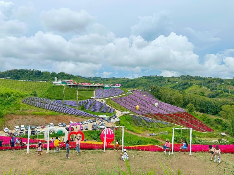 amazing dinosaur, amazing dinosaur เขาค้อ, gino cafe, hydrangea cafe, pino latte, pizza house cafe), the dreamer cafe, the dreamer cafe & resort, จุดชมวิวทะเลหมอก อำเภอเขาค้อ, จุดชมวิววัดกองเนียม, จุดชมวิวอำเภอเขาค้อ, ที่เที่ยวเขาค้อ, ที่เที่ยวเขาค้อ 2024, ที่เที่ยวเขาค้อ 2567, ที่เที่ยวเพชรบูรณ์, ทุ่งแสลงหลวง, น้ำตกศรีดิษฐ์, บ้านเขา คาเฟ่, พระตำหนัก เขาค้อ, พระบรมธาตุเจดีย์กาญจนาภิเษก, พิพิธภัณฑ์อาวุธ, ฟาร์มแกะ เขาค้อ, ม่อนซ่อนแก้ว ฟาร์มสเตย์แอนด์คาเฟ่, ม่อนแกะ เขาค้อ, วัดป่าคาสามัคคี, วัดผาซ่อนแก้ว, วัดพระธาตุผาซ่อนแก้ว, สกายวอล์คภูเลิศ, สกายวอล์คภูเลิศเขาค้อ, องค์ปู่ท้าวเวชสุวรรณลอยฟ้า, อนุสรณ์สถานผู้เสียสละ เขาค้อ, อุทยานแห่งชาติทุ่งแสลงหลวง, เขาค้อ, เขาค้อ 2024, เขาค้อ 2567, เขาตะเคียนโง๊ะ, แก่งบางระจัน, ไร่ gb ทุ่งกังหันลม, ไร่gb เขาค้อ, ไฮเดรนเยีย คาเฟ่, top 20+ ที่เที่ยวเขาค้อ [สิงหาคม 2024] ที่ต้องแวะเช็คอิน ฟินไปกับทะเลหมอก ชมธรรมชาติส้วยสวย