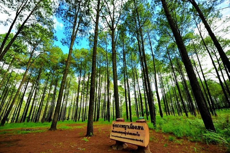 amazing dinosaur, amazing dinosaur เขาค้อ, gino cafe, hydrangea cafe, pino latte, pizza house cafe), the dreamer cafe, the dreamer cafe & resort, จุดชมวิวทะเลหมอก อำเภอเขาค้อ, จุดชมวิววัดกองเนียม, จุดชมวิวอำเภอเขาค้อ, ที่เที่ยวเขาค้อ, ที่เที่ยวเขาค้อ 2024, ที่เที่ยวเขาค้อ 2567, ที่เที่ยวเพชรบูรณ์, ทุ่งแสลงหลวง, น้ำตกศรีดิษฐ์, บ้านเขา คาเฟ่, พระตำหนัก เขาค้อ, พระบรมธาตุเจดีย์กาญจนาภิเษก, พิพิธภัณฑ์อาวุธ, ฟาร์มแกะ เขาค้อ, ม่อนซ่อนแก้ว ฟาร์มสเตย์แอนด์คาเฟ่, ม่อนแกะ เขาค้อ, วัดป่าคาสามัคคี, วัดผาซ่อนแก้ว, วัดพระธาตุผาซ่อนแก้ว, สกายวอล์คภูเลิศ, สกายวอล์คภูเลิศเขาค้อ, องค์ปู่ท้าวเวชสุวรรณลอยฟ้า, อนุสรณ์สถานผู้เสียสละ เขาค้อ, อุทยานแห่งชาติทุ่งแสลงหลวง, เขาค้อ, เขาค้อ 2024, เขาค้อ 2567, เขาตะเคียนโง๊ะ, แก่งบางระจัน, ไร่ gb ทุ่งกังหันลม, ไร่gb เขาค้อ, ไฮเดรนเยีย คาเฟ่, top 20+ ที่เที่ยวเขาค้อ [สิงหาคม 2024] ที่ต้องแวะเช็คอิน ฟินไปกับทะเลหมอก ชมธรรมชาติส้วยสวย