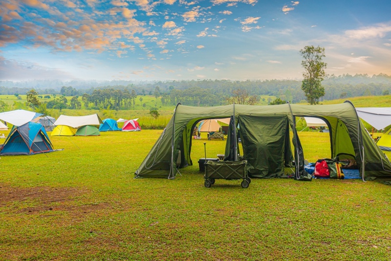 amazing dinosaur, amazing dinosaur เขาค้อ, gino cafe, hydrangea cafe, pino latte, pizza house cafe), the dreamer cafe, the dreamer cafe & resort, จุดชมวิวทะเลหมอก อำเภอเขาค้อ, จุดชมวิววัดกองเนียม, จุดชมวิวอำเภอเขาค้อ, ที่เที่ยวเขาค้อ, ที่เที่ยวเขาค้อ 2024, ที่เที่ยวเขาค้อ 2567, ที่เที่ยวเพชรบูรณ์, ทุ่งแสลงหลวง, น้ำตกศรีดิษฐ์, บ้านเขา คาเฟ่, พระตำหนัก เขาค้อ, พระบรมธาตุเจดีย์กาญจนาภิเษก, พิพิธภัณฑ์อาวุธ, ฟาร์มแกะ เขาค้อ, ม่อนซ่อนแก้ว ฟาร์มสเตย์แอนด์คาเฟ่, ม่อนแกะ เขาค้อ, วัดป่าคาสามัคคี, วัดผาซ่อนแก้ว, วัดพระธาตุผาซ่อนแก้ว, สกายวอล์คภูเลิศ, สกายวอล์คภูเลิศเขาค้อ, องค์ปู่ท้าวเวชสุวรรณลอยฟ้า, อนุสรณ์สถานผู้เสียสละ เขาค้อ, อุทยานแห่งชาติทุ่งแสลงหลวง, เขาค้อ, เขาค้อ 2024, เขาค้อ 2567, เขาตะเคียนโง๊ะ, แก่งบางระจัน, ไร่ gb ทุ่งกังหันลม, ไร่gb เขาค้อ, ไฮเดรนเยีย คาเฟ่, top 20+ ที่เที่ยวเขาค้อ [สิงหาคม 2024] ที่ต้องแวะเช็คอิน ฟินไปกับทะเลหมอก ชมธรรมชาติส้วยสวย