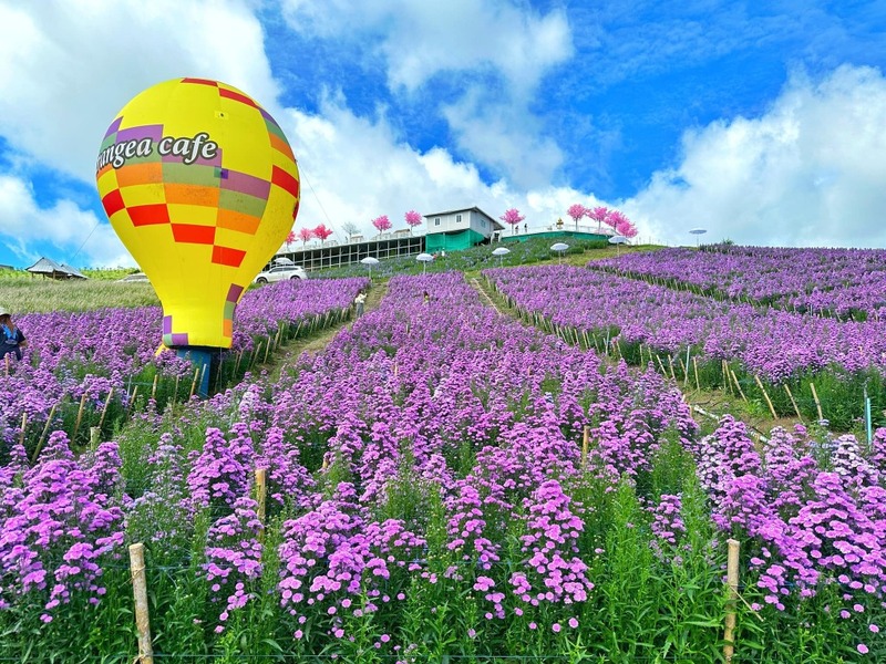 amazing dinosaur, amazing dinosaur เขาค้อ, gino cafe, hydrangea cafe, pino latte, pizza house cafe), the dreamer cafe, the dreamer cafe & resort, จุดชมวิวทะเลหมอก อำเภอเขาค้อ, จุดชมวิววัดกองเนียม, จุดชมวิวอำเภอเขาค้อ, ที่เที่ยวเขาค้อ, ที่เที่ยวเขาค้อ 2024, ที่เที่ยวเขาค้อ 2567, ที่เที่ยวเพชรบูรณ์, ทุ่งแสลงหลวง, น้ำตกศรีดิษฐ์, บ้านเขา คาเฟ่, พระตำหนัก เขาค้อ, พระบรมธาตุเจดีย์กาญจนาภิเษก, พิพิธภัณฑ์อาวุธ, ฟาร์มแกะ เขาค้อ, ม่อนซ่อนแก้ว ฟาร์มสเตย์แอนด์คาเฟ่, ม่อนแกะ เขาค้อ, วัดป่าคาสามัคคี, วัดผาซ่อนแก้ว, วัดพระธาตุผาซ่อนแก้ว, สกายวอล์คภูเลิศ, สกายวอล์คภูเลิศเขาค้อ, องค์ปู่ท้าวเวชสุวรรณลอยฟ้า, อนุสรณ์สถานผู้เสียสละ เขาค้อ, อุทยานแห่งชาติทุ่งแสลงหลวง, เขาค้อ, เขาค้อ 2024, เขาค้อ 2567, เขาตะเคียนโง๊ะ, แก่งบางระจัน, ไร่ gb ทุ่งกังหันลม, ไร่gb เขาค้อ, ไฮเดรนเยีย คาเฟ่, top 20+ ที่เที่ยวเขาค้อ [สิงหาคม 2024] ที่ต้องแวะเช็คอิน ฟินไปกับทะเลหมอก ชมธรรมชาติส้วยสวย