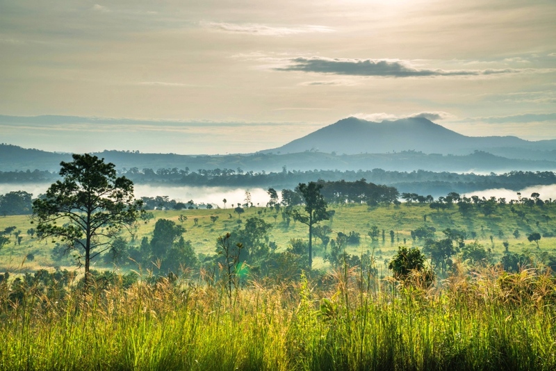 amazing dinosaur, amazing dinosaur เขาค้อ, gino cafe, hydrangea cafe, pino latte, pizza house cafe), the dreamer cafe, the dreamer cafe & resort, จุดชมวิวทะเลหมอก อำเภอเขาค้อ, จุดชมวิววัดกองเนียม, จุดชมวิวอำเภอเขาค้อ, ที่เที่ยวเขาค้อ, ที่เที่ยวเขาค้อ 2024, ที่เที่ยวเขาค้อ 2567, ที่เที่ยวเพชรบูรณ์, ทุ่งแสลงหลวง, น้ำตกศรีดิษฐ์, บ้านเขา คาเฟ่, พระตำหนัก เขาค้อ, พระบรมธาตุเจดีย์กาญจนาภิเษก, พิพิธภัณฑ์อาวุธ, ฟาร์มแกะ เขาค้อ, ม่อนซ่อนแก้ว ฟาร์มสเตย์แอนด์คาเฟ่, ม่อนแกะ เขาค้อ, วัดป่าคาสามัคคี, วัดผาซ่อนแก้ว, วัดพระธาตุผาซ่อนแก้ว, สกายวอล์คภูเลิศ, สกายวอล์คภูเลิศเขาค้อ, องค์ปู่ท้าวเวชสุวรรณลอยฟ้า, อนุสรณ์สถานผู้เสียสละ เขาค้อ, อุทยานแห่งชาติทุ่งแสลงหลวง, เขาค้อ, เขาค้อ 2024, เขาค้อ 2567, เขาตะเคียนโง๊ะ, แก่งบางระจัน, ไร่ gb ทุ่งกังหันลม, ไร่gb เขาค้อ, ไฮเดรนเยีย คาเฟ่, top 20+ ที่เที่ยวเขาค้อ [สิงหาคม 2024] ที่ต้องแวะเช็คอิน ฟินไปกับทะเลหมอก ชมธรรมชาติส้วยสวย