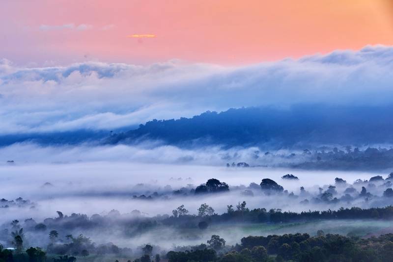 amazing dinosaur, amazing dinosaur เขาค้อ, gino cafe, hydrangea cafe, pino latte, pizza house cafe), the dreamer cafe, the dreamer cafe & resort, จุดชมวิวทะเลหมอก อำเภอเขาค้อ, จุดชมวิววัดกองเนียม, จุดชมวิวอำเภอเขาค้อ, ที่เที่ยวเขาค้อ, ที่เที่ยวเขาค้อ 2024, ที่เที่ยวเขาค้อ 2567, ที่เที่ยวเพชรบูรณ์, ทุ่งแสลงหลวง, น้ำตกศรีดิษฐ์, บ้านเขา คาเฟ่, พระตำหนัก เขาค้อ, พระบรมธาตุเจดีย์กาญจนาภิเษก, พิพิธภัณฑ์อาวุธ, ฟาร์มแกะ เขาค้อ, ม่อนซ่อนแก้ว ฟาร์มสเตย์แอนด์คาเฟ่, ม่อนแกะ เขาค้อ, วัดป่าคาสามัคคี, วัดผาซ่อนแก้ว, วัดพระธาตุผาซ่อนแก้ว, สกายวอล์คภูเลิศ, สกายวอล์คภูเลิศเขาค้อ, องค์ปู่ท้าวเวชสุวรรณลอยฟ้า, อนุสรณ์สถานผู้เสียสละ เขาค้อ, อุทยานแห่งชาติทุ่งแสลงหลวง, เขาค้อ, เขาค้อ 2024, เขาค้อ 2567, เขาตะเคียนโง๊ะ, แก่งบางระจัน, ไร่ gb ทุ่งกังหันลม, ไร่gb เขาค้อ, ไฮเดรนเยีย คาเฟ่, top 20+ ที่เที่ยวเขาค้อ [สิงหาคม 2024] ที่ต้องแวะเช็คอิน ฟินไปกับทะเลหมอก ชมธรรมชาติส้วยสวย