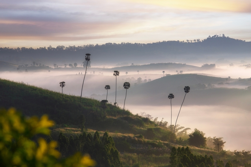 amazing dinosaur, amazing dinosaur เขาค้อ, gino cafe, hydrangea cafe, pino latte, pizza house cafe), the dreamer cafe, the dreamer cafe & resort, จุดชมวิวทะเลหมอก อำเภอเขาค้อ, จุดชมวิววัดกองเนียม, จุดชมวิวอำเภอเขาค้อ, ที่เที่ยวเขาค้อ, ที่เที่ยวเขาค้อ 2024, ที่เที่ยวเขาค้อ 2567, ที่เที่ยวเพชรบูรณ์, ทุ่งแสลงหลวง, น้ำตกศรีดิษฐ์, บ้านเขา คาเฟ่, พระตำหนัก เขาค้อ, พระบรมธาตุเจดีย์กาญจนาภิเษก, พิพิธภัณฑ์อาวุธ, ฟาร์มแกะ เขาค้อ, ม่อนซ่อนแก้ว ฟาร์มสเตย์แอนด์คาเฟ่, ม่อนแกะ เขาค้อ, วัดป่าคาสามัคคี, วัดผาซ่อนแก้ว, วัดพระธาตุผาซ่อนแก้ว, สกายวอล์คภูเลิศ, สกายวอล์คภูเลิศเขาค้อ, องค์ปู่ท้าวเวชสุวรรณลอยฟ้า, อนุสรณ์สถานผู้เสียสละ เขาค้อ, อุทยานแห่งชาติทุ่งแสลงหลวง, เขาค้อ, เขาค้อ 2024, เขาค้อ 2567, เขาตะเคียนโง๊ะ, แก่งบางระจัน, ไร่ gb ทุ่งกังหันลม, ไร่gb เขาค้อ, ไฮเดรนเยีย คาเฟ่, top 20+ ที่เที่ยวเขาค้อ [สิงหาคม 2024] ที่ต้องแวะเช็คอิน ฟินไปกับทะเลหมอก ชมธรรมชาติส้วยสวย