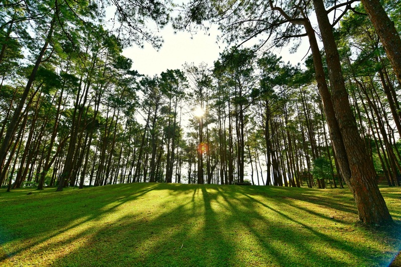 amazing dinosaur, amazing dinosaur เขาค้อ, gino cafe, hydrangea cafe, pino latte, pizza house cafe), the dreamer cafe, the dreamer cafe & resort, จุดชมวิวทะเลหมอก อำเภอเขาค้อ, จุดชมวิววัดกองเนียม, จุดชมวิวอำเภอเขาค้อ, ที่เที่ยวเขาค้อ, ที่เที่ยวเขาค้อ 2024, ที่เที่ยวเขาค้อ 2567, ที่เที่ยวเพชรบูรณ์, ทุ่งแสลงหลวง, น้ำตกศรีดิษฐ์, บ้านเขา คาเฟ่, พระตำหนัก เขาค้อ, พระบรมธาตุเจดีย์กาญจนาภิเษก, พิพิธภัณฑ์อาวุธ, ฟาร์มแกะ เขาค้อ, ม่อนซ่อนแก้ว ฟาร์มสเตย์แอนด์คาเฟ่, ม่อนแกะ เขาค้อ, วัดป่าคาสามัคคี, วัดผาซ่อนแก้ว, วัดพระธาตุผาซ่อนแก้ว, สกายวอล์คภูเลิศ, สกายวอล์คภูเลิศเขาค้อ, องค์ปู่ท้าวเวชสุวรรณลอยฟ้า, อนุสรณ์สถานผู้เสียสละ เขาค้อ, อุทยานแห่งชาติทุ่งแสลงหลวง, เขาค้อ, เขาค้อ 2024, เขาค้อ 2567, เขาตะเคียนโง๊ะ, แก่งบางระจัน, ไร่ gb ทุ่งกังหันลม, ไร่gb เขาค้อ, ไฮเดรนเยีย คาเฟ่, top 20+ ที่เที่ยวเขาค้อ [สิงหาคม 2024] ที่ต้องแวะเช็คอิน ฟินไปกับทะเลหมอก ชมธรรมชาติส้วยสวย