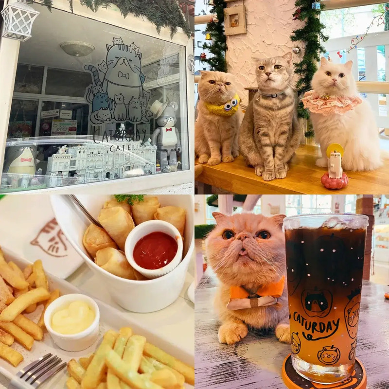 top 10+ คาเฟ่ราชเทวี ใกล้ bts บรรยากาศดี ถ่ายรูปสวย อัปเดต 2024