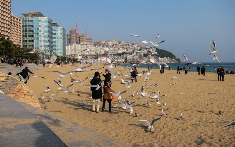 168 stairs, biff square, blue line park, busan international film festival, cheongsapo, gamcheon culture village, haedong yonggungsa, haeundae beach, little prince, nampodong shopping street, ocean breeze, sky capsule haeundae blue line park, songdo beach, songdo sky park, songdo sky walk, the bay 101, yacht club, คาเฟ่รถไฟแคปซูล, ชายหาดซงโด, ชายหาดแฮอุนแด, ตลาดนัมโพดง, ถ่ายรูปกับเจ้าชายน้อย, ทะเลปูซาน, ปูซาน 2024, ปูซาน 2567, ปูซานเกาลี 2567, ปูซานเกาหลี 2024, ปูซานเที่ยวไหนดี, พระสังกัจจายน์สีทอง, มุมลับ the bay 101, รถไฟปูซาน, รถไฟแคปซูล, วัดแฮดง ยงกุงซา, สตีทฟู๊ดเกาหลี, หมู่บ้านคัมชอน, อาหารเกาหลี, เที่ยวปูซาน, เที่ยวเกาหลี, เที่ยวเกาหลี 2024, เที่ยวเกาหลี 2567, แพนเค้กเกาหลี, โรงแรมในหมู่บ้านคัมชอน, โฮต็อก, top 10+ ที่เที่ยวปูซาน เกาหลีใต้ วิวปัง ถ่ายรูปสวย