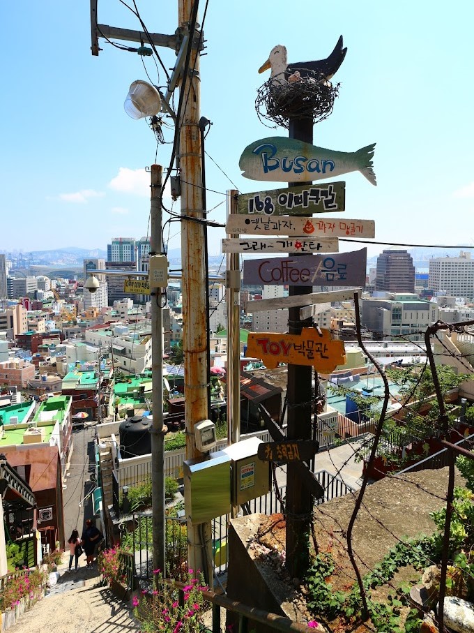 168 stairs, biff square, blue line park, busan international film festival, cheongsapo, gamcheon culture village, haedong yonggungsa, haeundae beach, little prince, nampodong shopping street, ocean breeze, sky capsule haeundae blue line park, songdo beach, songdo sky park, songdo sky walk, the bay 101, yacht club, คาเฟ่รถไฟแคปซูล, ชายหาดซงโด, ชายหาดแฮอุนแด, ตลาดนัมโพดง, ถ่ายรูปกับเจ้าชายน้อย, ทะเลปูซาน, ปูซาน 2024, ปูซาน 2567, ปูซานเกาลี 2567, ปูซานเกาหลี 2024, ปูซานเที่ยวไหนดี, พระสังกัจจายน์สีทอง, มุมลับ the bay 101, รถไฟปูซาน, รถไฟแคปซูล, วัดแฮดง ยงกุงซา, สตีทฟู๊ดเกาหลี, หมู่บ้านคัมชอน, อาหารเกาหลี, เที่ยวปูซาน, เที่ยวเกาหลี, เที่ยวเกาหลี 2024, เที่ยวเกาหลี 2567, แพนเค้กเกาหลี, โรงแรมในหมู่บ้านคัมชอน, โฮต็อก, top 10+ ที่เที่ยวปูซาน เกาหลีใต้ วิวปัง ถ่ายรูปสวย