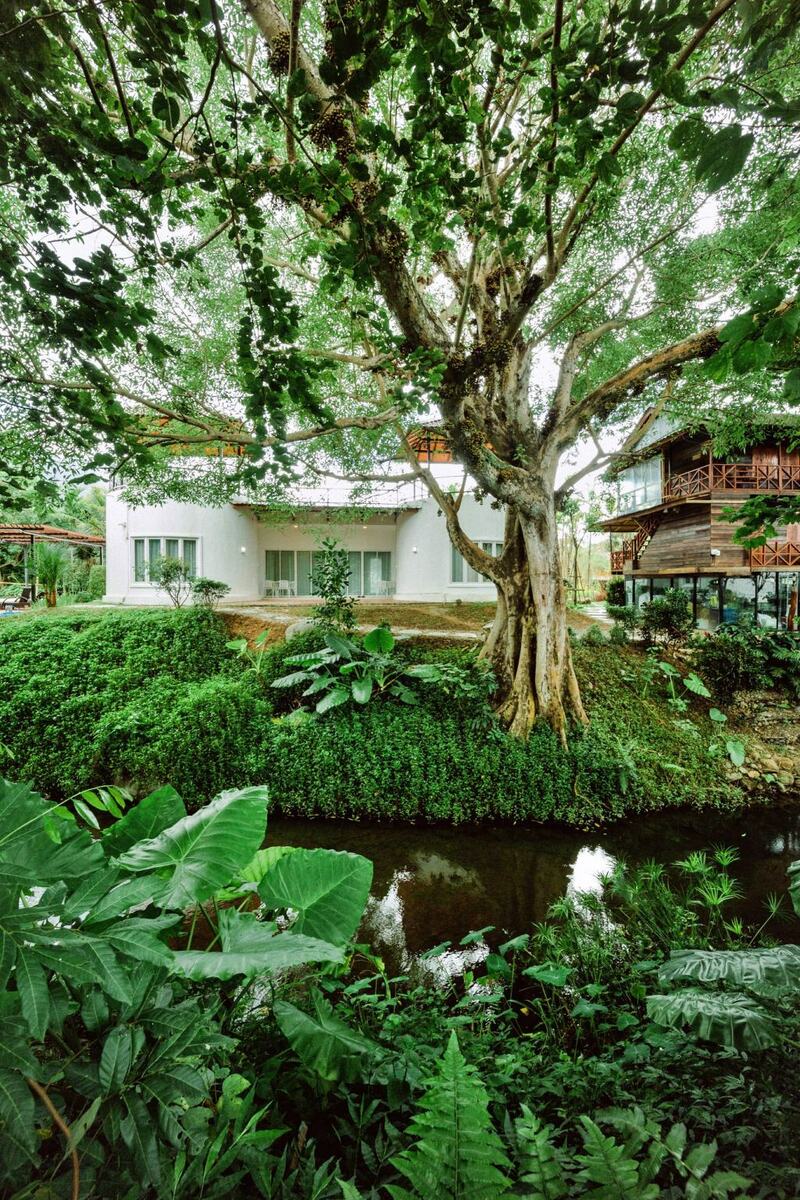 คุ้มเมืองมินทร์, ซี วิว โฮม, ต้นแหลง โฮมสเตย์, ท่าลี่ โฮมสเตด, ที่พักจังหวัดน่าน, ที่พักจังหวัดน่าน 2024, ที่พักจังหวัดน่าน 2567, ที่พักน่าน, ที่พักน่าน 2024, ที่พักน่าน 2567, นันตราคีรี, น่านตรึงใจ, น่านนิรันดร์, น่านริมน้ำ รีสอร์ต, น่านศรีปันนา, บ้านพระจันทร์, บ้านพระจันทร์ น่าน, บ้านสวนลีลาวดี น่าน, ปัวเดอวิว, ภูมินทร์เพลซ, โกโก้ วัลเล่ย์ รีสอร์ท, top 15+ ที่พักน่าน 2024 นอนกลางป่า วิวทุ่งนา ฟังเสียงลำธาร