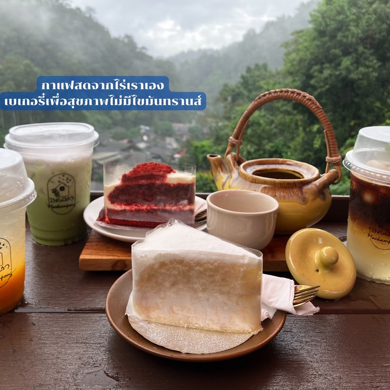 top 9+ ร้านคาเฟ่แม่กำปองครองใจ บรรยากาศดีจนต้องหลงรัก สักครั้งต้องไปเช็คอิน พิกัดอ.แม่ออน