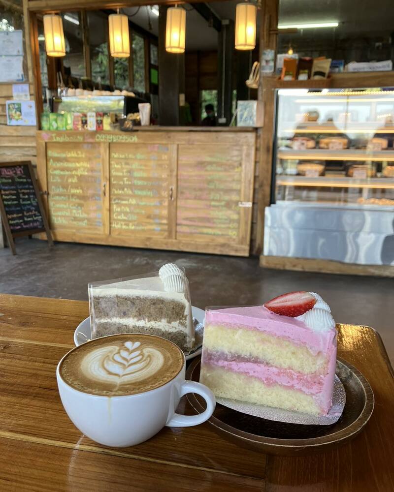 top 9+ ร้านคาเฟ่แม่กำปองครองใจ บรรยากาศดีจนต้องหลงรัก สักครั้งต้องไปเช็คอิน พิกัดอ.แม่ออน