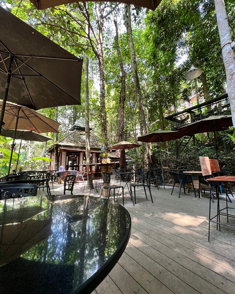 top 9+ ร้านคาเฟ่แม่กำปองครองใจ บรรยากาศดีจนต้องหลงรัก สักครั้งต้องไปเช็คอิน พิกัดอ.แม่ออน