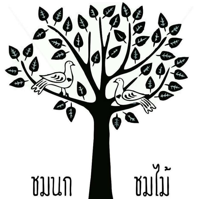 top 9+ ร้านคาเฟ่แม่กำปองครองใจ บรรยากาศดีจนต้องหลงรัก สักครั้งต้องไปเช็คอิน พิกัดอ.แม่ออน