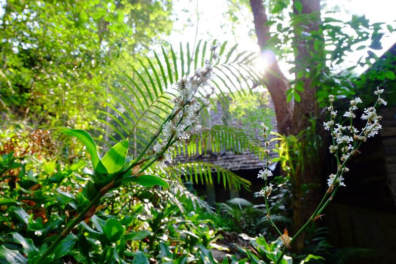 top 9+ ร้านคาเฟ่แม่กำปองครองใจ บรรยากาศดีจนต้องหลงรัก สักครั้งต้องไปเช็คอิน พิกัดอ.แม่ออน