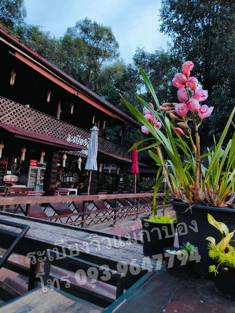 top 9+ ร้านคาเฟ่แม่กำปองครองใจ บรรยากาศดีจนต้องหลงรัก สักครั้งต้องไปเช็คอิน พิกัดอ.แม่ออน