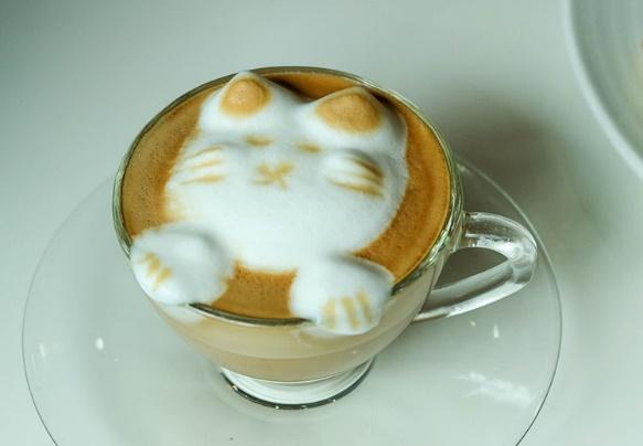 top 5+ คาเฟ่แมวในกรุงเทพฯ แวะมารับความน่ารักจากเหมียวขนปุย