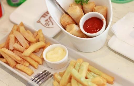 top 5+ คาเฟ่แมวในกรุงเทพฯ แวะมารับความน่ารักจากเหมียวขนปุย