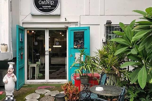 top 5+ คาเฟ่แมวในกรุงเทพฯ แวะมารับความน่ารักจากเหมียวขนปุย