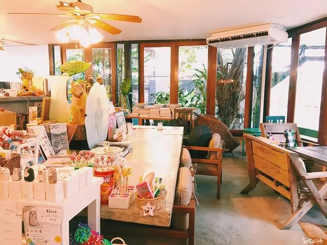 top 5+ คาเฟ่แมวในกรุงเทพฯ แวะมารับความน่ารักจากเหมียวขนปุย