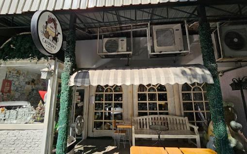 top 5+ คาเฟ่แมวในกรุงเทพฯ แวะมารับความน่ารักจากเหมียวขนปุย