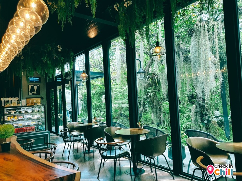 10cc coffee and co, 6 zero garage & roaster, breeze cafe & bar, dna คาเฟ่, dna.do not awkward cafe, dx playground, dx playground cafe’ & bistro, hidden backyard, high octane café, kanomprang, mitte coffee, nooch coffee, plantnery green cafe, rynn kaffe, rynn kaffe specialty coffee, we roast cafe, whistlehomecafe, yerm chocolate, คาเฟ่ ย่านเมืองทองธานี, คาเฟ่นนทบุรี, คาเฟ่ริมทะเลสาบเมืองทอง, คาเฟ่เมืองทอง, คาเฟ่เมืองทอง 2024, คาเฟ่เมืองทอง 2567, คาเฟ่เมืองทอง นนทบุรี, คาเฟ่เมืองทองธานี, คาเฟ่เมืองทองธานี 2024, คาเฟ่เมืองทองธานี 2567, คาเฟ่ใกล้ฉัน, คาเฟ่ในเมืองทอง, ทิมเบอร์ริง ขนมปราง, นุช คอฟฟี่, รีวิวคาเฟ่เมืองทอง, แพลนท์เนอรี กรีน คาเฟ่, top 15+ คาเฟ่เมืองทองธานี 2024 หลากสไตล์ หลายดีไซน์ น่านั่งชิลล์ตามฟีลสุด ๆ