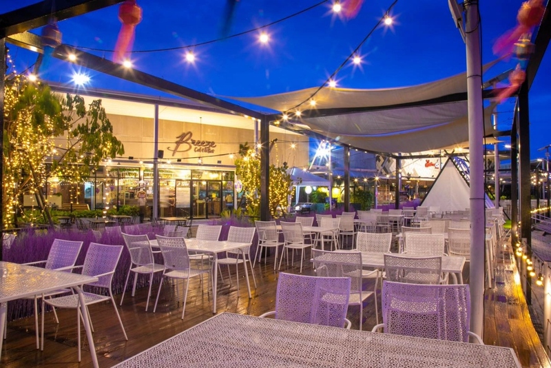 10cc coffee and co, 6 zero garage & roaster, breeze cafe & bar, dna คาเฟ่, dna.do not awkward cafe, dx playground, dx playground cafe’ & bistro, hidden backyard, high octane café, kanomprang, mitte coffee, nooch coffee, plantnery green cafe, rynn kaffe, rynn kaffe specialty coffee, we roast cafe, whistlehomecafe, yerm chocolate, คาเฟ่ ย่านเมืองทองธานี, คาเฟ่นนทบุรี, คาเฟ่ริมทะเลสาบเมืองทอง, คาเฟ่เมืองทอง, คาเฟ่เมืองทอง 2024, คาเฟ่เมืองทอง 2567, คาเฟ่เมืองทอง นนทบุรี, คาเฟ่เมืองทองธานี, คาเฟ่เมืองทองธานี 2024, คาเฟ่เมืองทองธานี 2567, คาเฟ่ใกล้ฉัน, คาเฟ่ในเมืองทอง, ทิมเบอร์ริง ขนมปราง, นุช คอฟฟี่, รีวิวคาเฟ่เมืองทอง, แพลนท์เนอรี กรีน คาเฟ่, top 15+ คาเฟ่เมืองทองธานี 2024 หลากสไตล์ หลายดีไซน์ น่านั่งชิลล์ตามฟีลสุด ๆ