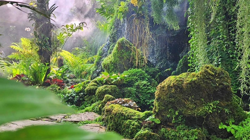 10cc coffee and co, 6 zero garage & roaster, breeze cafe & bar, dna คาเฟ่, dna.do not awkward cafe, dx playground, dx playground cafe’ & bistro, hidden backyard, high octane café, kanomprang, mitte coffee, nooch coffee, plantnery green cafe, rynn kaffe, rynn kaffe specialty coffee, we roast cafe, whistlehomecafe, yerm chocolate, คาเฟ่ ย่านเมืองทองธานี, คาเฟ่นนทบุรี, คาเฟ่ริมทะเลสาบเมืองทอง, คาเฟ่เมืองทอง, คาเฟ่เมืองทอง 2024, คาเฟ่เมืองทอง 2567, คาเฟ่เมืองทอง นนทบุรี, คาเฟ่เมืองทองธานี, คาเฟ่เมืองทองธานี 2024, คาเฟ่เมืองทองธานี 2567, คาเฟ่ใกล้ฉัน, คาเฟ่ในเมืองทอง, ทิมเบอร์ริง ขนมปราง, นุช คอฟฟี่, รีวิวคาเฟ่เมืองทอง, แพลนท์เนอรี กรีน คาเฟ่, top 15+ คาเฟ่เมืองทองธานี 2024 หลากสไตล์ หลายดีไซน์ น่านั่งชิลล์ตามฟีลสุด ๆ