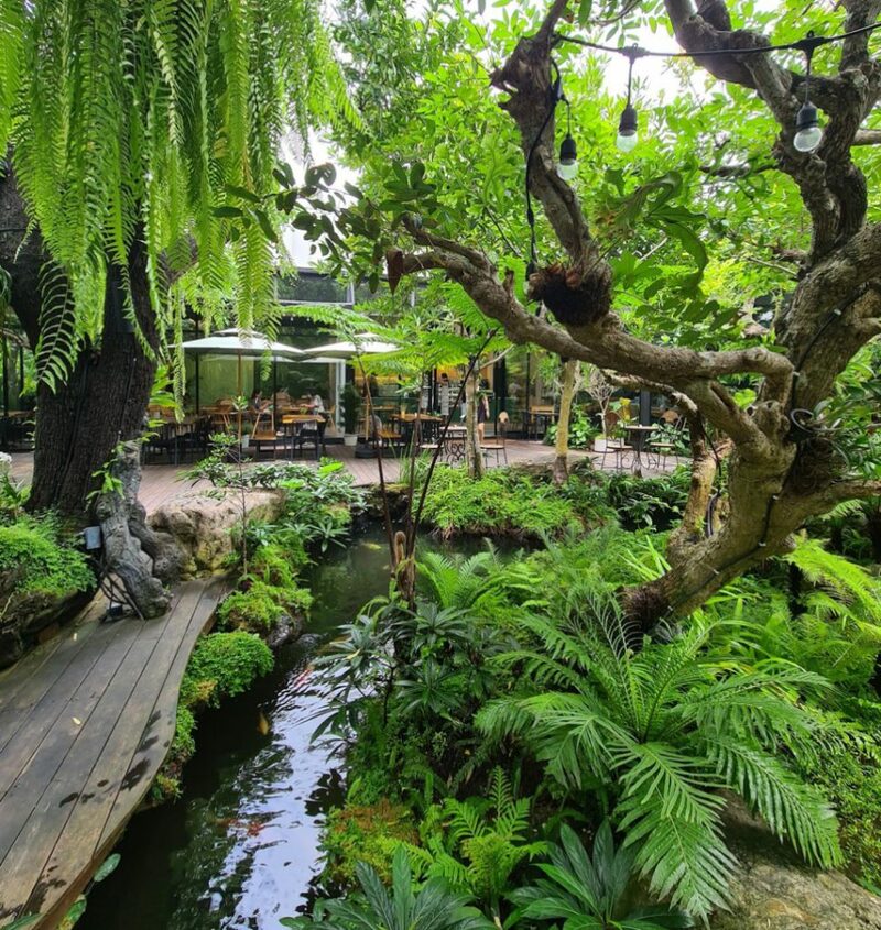 10cc coffee and co, 6 zero garage & roaster, breeze cafe & bar, dna คาเฟ่, dna.do not awkward cafe, dx playground, dx playground cafe’ & bistro, hidden backyard, high octane café, kanomprang, mitte coffee, nooch coffee, plantnery green cafe, rynn kaffe, rynn kaffe specialty coffee, we roast cafe, whistlehomecafe, yerm chocolate, คาเฟ่ ย่านเมืองทองธานี, คาเฟ่นนทบุรี, คาเฟ่ริมทะเลสาบเมืองทอง, คาเฟ่เมืองทอง, คาเฟ่เมืองทอง 2024, คาเฟ่เมืองทอง 2567, คาเฟ่เมืองทอง นนทบุรี, คาเฟ่เมืองทองธานี, คาเฟ่เมืองทองธานี 2024, คาเฟ่เมืองทองธานี 2567, คาเฟ่ใกล้ฉัน, คาเฟ่ในเมืองทอง, ทิมเบอร์ริง ขนมปราง, นุช คอฟฟี่, รีวิวคาเฟ่เมืองทอง, แพลนท์เนอรี กรีน คาเฟ่, top 15+ คาเฟ่เมืองทองธานี 2024 หลากสไตล์ หลายดีไซน์ น่านั่งชิลล์ตามฟีลสุด ๆ