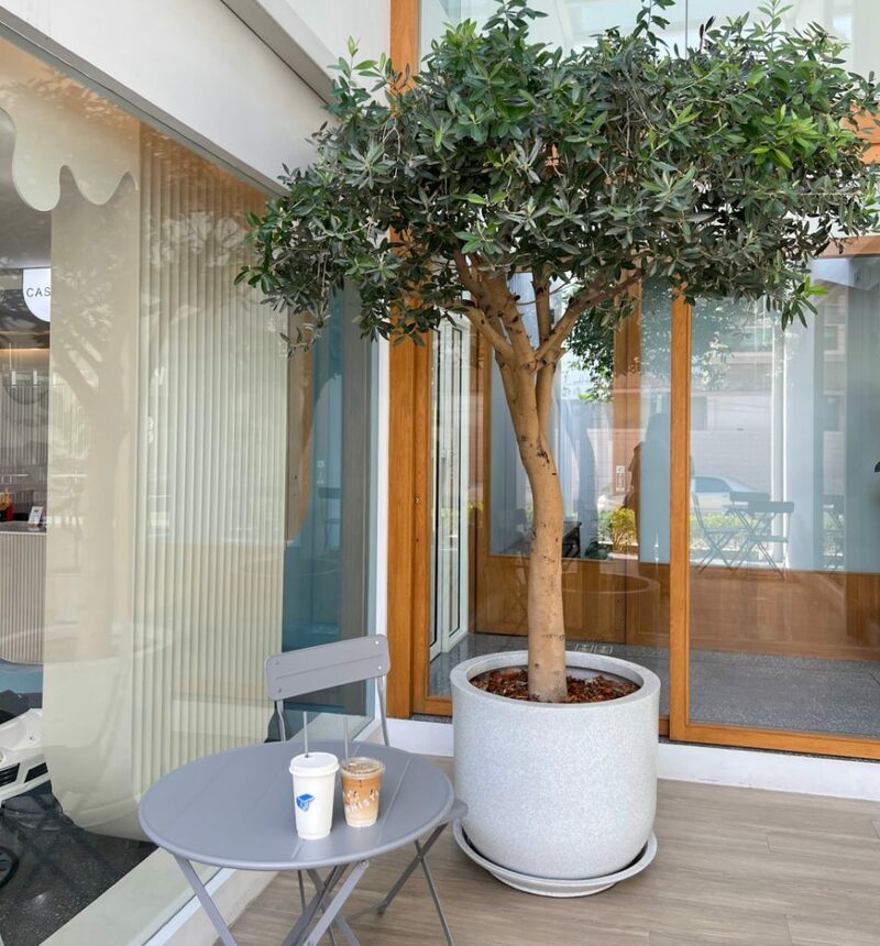 10cc coffee and co, 6 zero garage & roaster, breeze cafe & bar, dna คาเฟ่, dna.do not awkward cafe, dx playground, dx playground cafe’ & bistro, hidden backyard, high octane café, kanomprang, mitte coffee, nooch coffee, plantnery green cafe, rynn kaffe, rynn kaffe specialty coffee, we roast cafe, whistlehomecafe, yerm chocolate, คาเฟ่ ย่านเมืองทองธานี, คาเฟ่นนทบุรี, คาเฟ่ริมทะเลสาบเมืองทอง, คาเฟ่เมืองทอง, คาเฟ่เมืองทอง 2024, คาเฟ่เมืองทอง 2567, คาเฟ่เมืองทอง นนทบุรี, คาเฟ่เมืองทองธานี, คาเฟ่เมืองทองธานี 2024, คาเฟ่เมืองทองธานี 2567, คาเฟ่ใกล้ฉัน, คาเฟ่ในเมืองทอง, ทิมเบอร์ริง ขนมปราง, นุช คอฟฟี่, รีวิวคาเฟ่เมืองทอง, แพลนท์เนอรี กรีน คาเฟ่, top 15+ คาเฟ่เมืองทองธานี 2024 หลากสไตล์ หลายดีไซน์ น่านั่งชิลล์ตามฟีลสุด ๆ