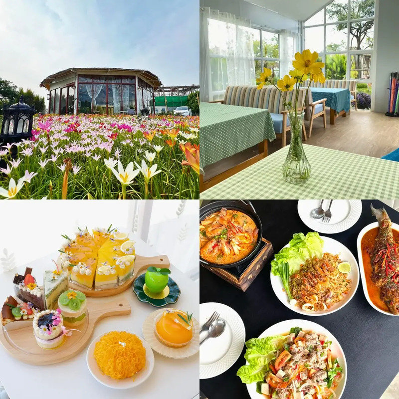 top 10+ คาเฟ่ศาลายา บรรยากาศดี อัปเดตใหม่ ฉบับปี 2024