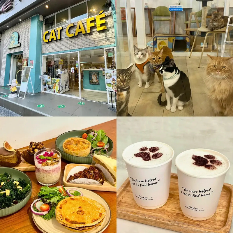 top 10+ คาเฟ่แถวอโศก ถ่ายรูปสวย ใกล้ bts แวะชิลล์ได้ทั้งวัน