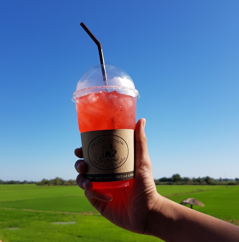 คาเฟ่ สุโขทัย ร้านบรรยากาศดี น่านั่ง : เที่ยวเมืองเก่าพร้อมนั่งร้านกาแฟชิคๆ