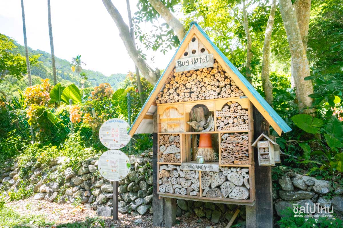 top 13+ ที่เที่ยวเมืองอี๋หลาน ไต้หวัน ตะลุยธรรมชาติแบบจัดเต็ม