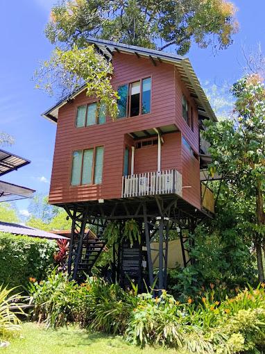 top 5+ คาเฟ่ลับ จ.ยะลา บรรยากาศดี เมนูน่าทาน นั่งชิลได้ทั้งวัน