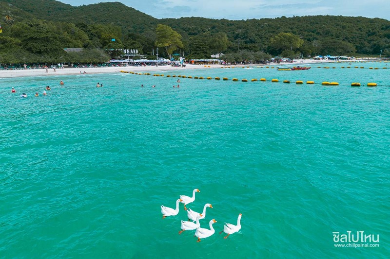 top 20+ ที่เที่ยวเกาะล้าน พักผ่อนชิล ๆ มุมถ่ายรูปเพียบ