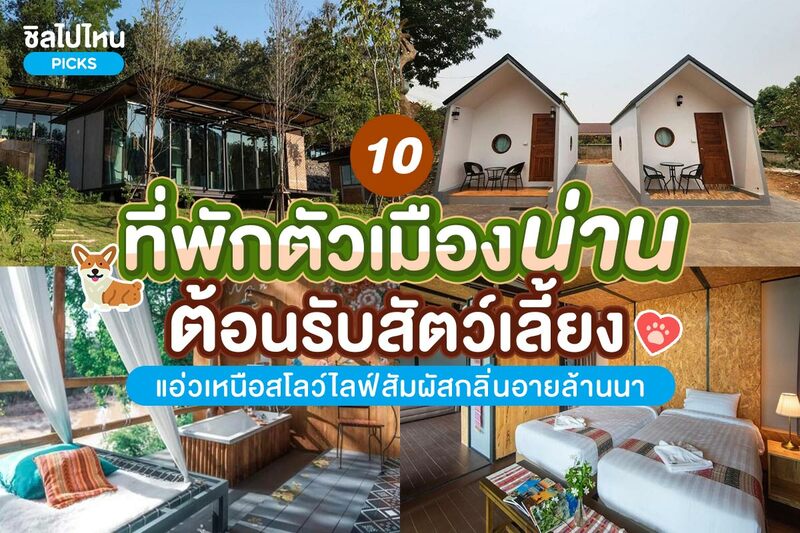 top 10+ ที่พักในตัวเมืองน่าน ต้อนรับสัตว์เลี้ยง แอ่วเหนือสไตล์สโลว์ไลฟ์พร้อมสัมผัสกลิ่นอายความเป็นล้านนา