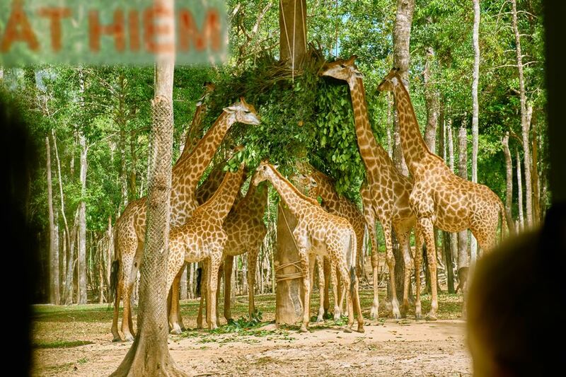 bamboo legend, dinh cau temple, grand world, hon thom cable car, hon thom island, kiss of the sea show, phu quoc night market, sunset town, teddy bear museum, the kiss bridge, vin wonders, vinpearl safari, vo trong nghia, กระเช้าลอยฟ้าที่ยาวที่สุด, กระเช้าลอยฟ้าฟูก๊วก, กระเช้าลอยฟ้าฟูโกว๊ก, ซันเซ็ท ทาวน์, ตลาดนัดกลางคืนฟูโกว๊ก, พิพิธภัณฑ์หมีเท็ดดี้แบร์, ล่องเรือแกรนด์เวิร์ล, วัดดิงชาว, วิน วันเดอร์, สวนสัตว์วินเพิร์ล ซาฟารี, สะพานจูบ, อควาเรี่ยมฟูก๊วก, อควาเรี่ยมฟูโกว๊ก, เกาะฟูก๊วก, เกาะฟูโกว๊ก, เกาะสัปปะรด, เกาะฮอนเทิม, เที่ยวเกาะฟูก๊วก, เที่ยวเกาะฟูโกว๊ก, เที่ยวเวียดนาม, เที่ยวเวียดนาม 2024, เที่ยวเวียดนาม 2567, แกรนด์ เวิร์ล, top 12+ ที่เที่ยวเกาะฟูโกว๊ก 2024 เช็คอินแลนด์มาร์คยอดฮิต ชมโชว์สุดอลังการ