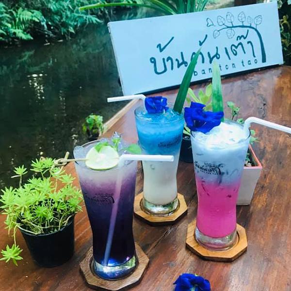 top 5+ คาเฟ่ จ. พะเยา จ่ายหลักร้อย วิวหลักล้าน 
