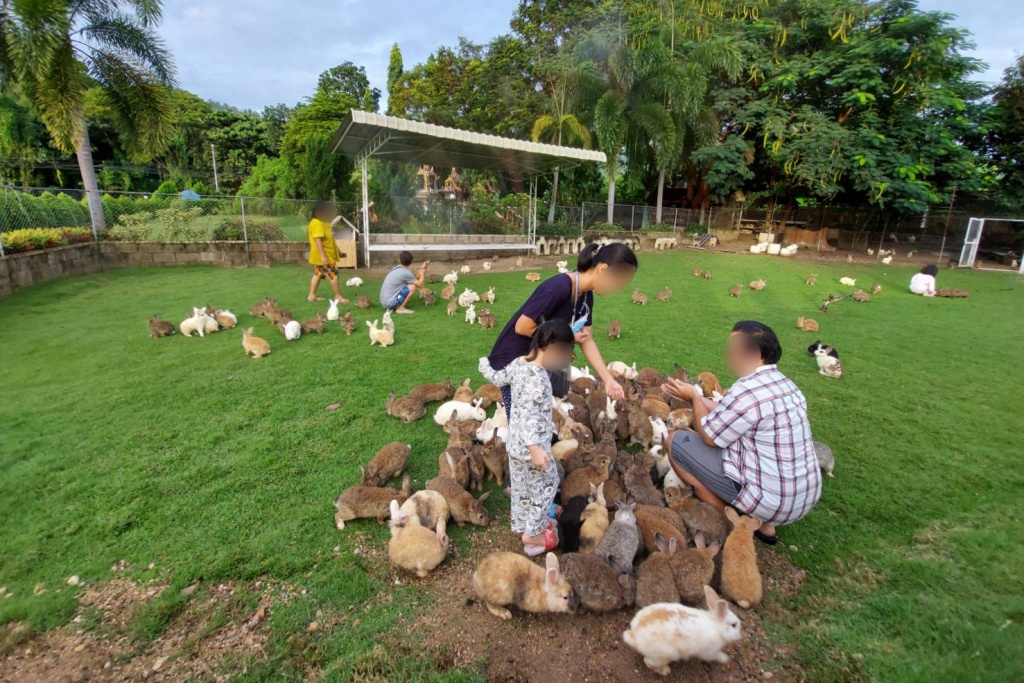 bellissimo cafe & resort, bibury resort, release pool villa resort, rewild camp&cafe, swiss valley สวนผึ้ง, terrua main ten villa, ขุนเขา ตำนาน ไพร, ที่พักสวนผึ้ง, ที่พักสวนผึ้ง 2024, ที่พักสวนผึ้ง 2025, ที่พักสวนผึ้ง 2567, ที่พักสวนผึ้ง 2568, ที่พักสวนผึ้ง มีสระว่ายน้ํา, ที่พักสวนผึ้ง สวยๆ, ที่พักสวนผึ้ง แนะนำ, บางเวลา สวนผึ้ง รีสอร์ท, บ้านอ้อมกอดขุนเขา, ปั้นหยา ชาเล่ต์ รีสอร์ท, พนาลี โฮม แอนด์ แคมปิ้ง, พอเพลิน ฮิบรีสอร์ท, รัก ณ สวนผึ้ง รีสอร์ท, รีลีส พูล วิลล่า รีสอร์ท, รีสอร์ท สวนผึ้ง, ลา ทอสคาน่า รีสอร์ท, ลาโพรวองซ์ สวนผึ้ง, วิลล่า โมรีดา, วิลลาทัสคานี คันทรี รีสอร์ท, สวิส วัลเลย์ ฮิพ รีสอร์ท, สแตมป์ ฮิลล์ รีสอร์ต, อัศจารา รีสอร์ท, อาสคาญ่า บูติค รีสอร์ท, เดอะ โลเคชั่น รีสอร์ท, เดอะบันยัน ลีฟ รีสอร์ท, เทอรัว เมน เท็น วิลล่า, แดนดิไลออน สวนผึ้ง, แทมมารีน วิลล่า, ไบบุรี รีสอร์ท, ไฮซีน รีสอร์ท, top 20+ ที่พักสวนผึ้ง 2024 บรรยากาศธรรมชาติ พักผ่อนกลางหุบเขา